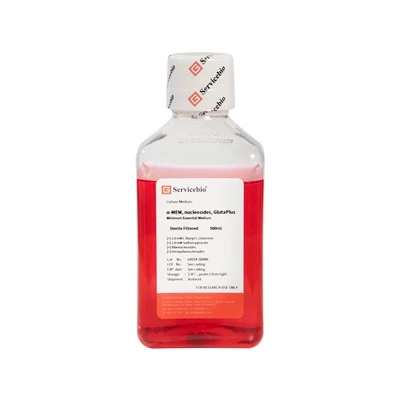 α-MEM, Nucleosides, GlutaPlus