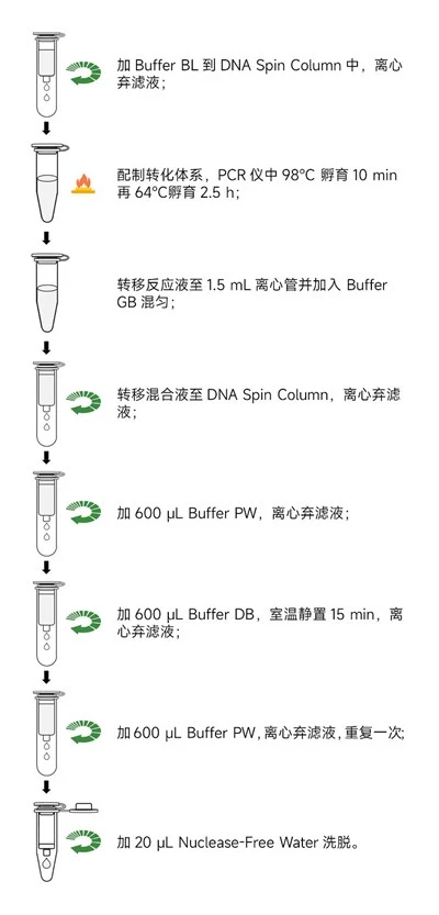MethylGold DNA Bisulfite Conversion Kit