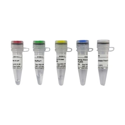 MiRNA First Strand CDNA Synthesis Kit(Tailing Reaction)