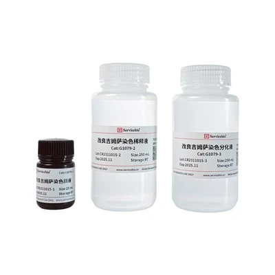 Modified Giemsa Staining Kit