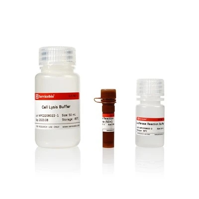 Mono-Lumi Firefly Luciferase Reporter Gene Assay Kit
