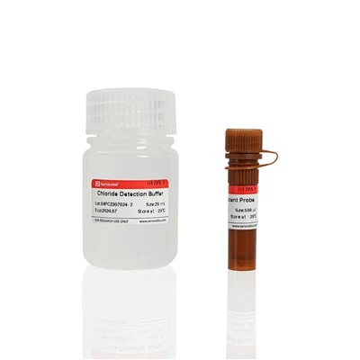 MQAE Fluorescent Chloride Lon Detection Kit