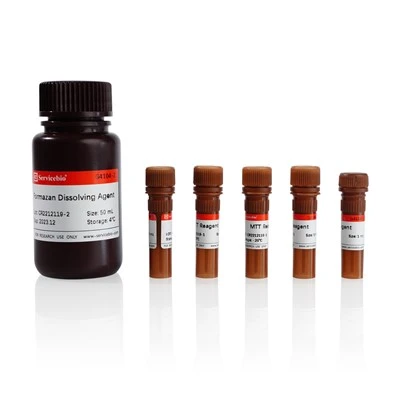 MTT Cell Proliferation And Cytotoxicity Assay Kit