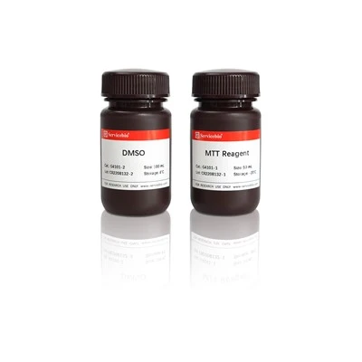 MTT Cell Viability Assay Kit