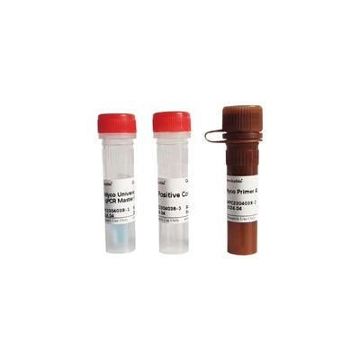 Mycoplasma Detection Kit (Probe QPCR)