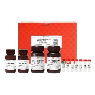 One-step Fastcast Colorful Acrylamide Kit (8%)