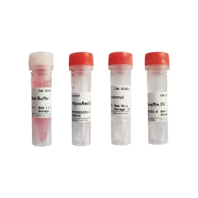 One-step Rapid Mycoplasma Detection Kit (Isothermal Amplification Method)