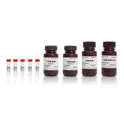 PAGE Colour (Red) Gel Cast Kit (High Molecular Protein Separation)