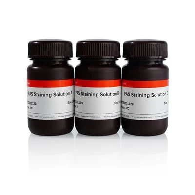 PAS Staining Kit