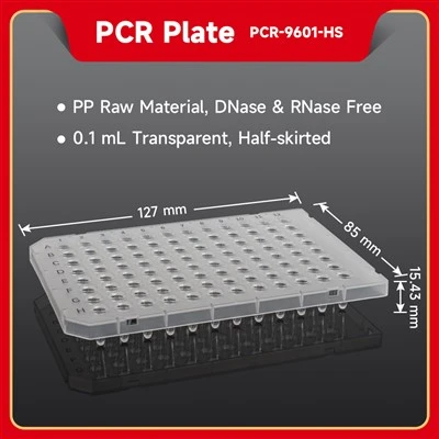 PCR Plate (Transparent)