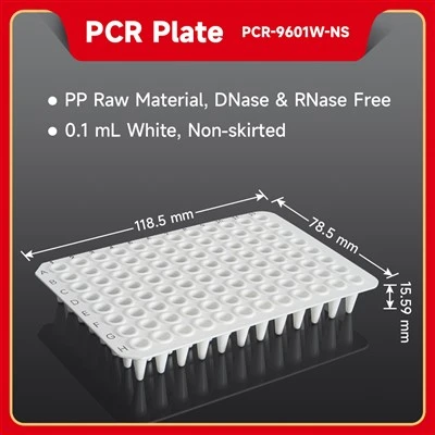 PCR Plate (White)