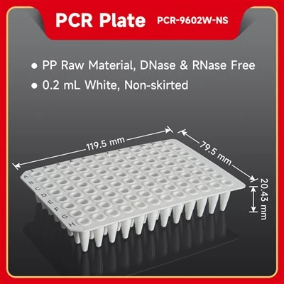PCR Plate (White）
