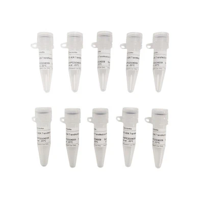PEI 40K Transfection Reagent