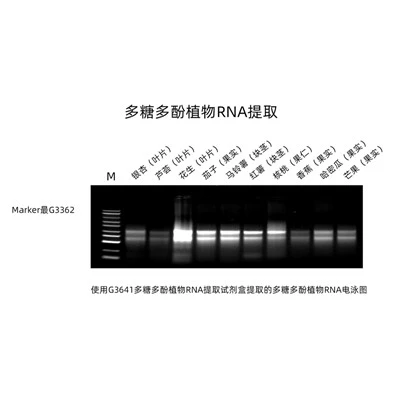 Plant RNA Kit For Polysaccharides & Polyphenolics