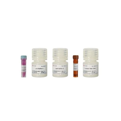 Plant Tissue Direct PCR Kit