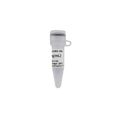 Polybrene (10 Mg/mL)