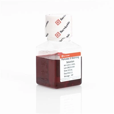 Ponceau S Staining