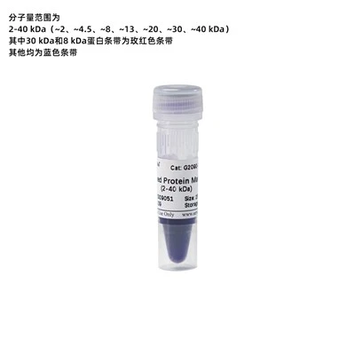 Prestained Protein Marker Ⅸ (2-40 KDa)