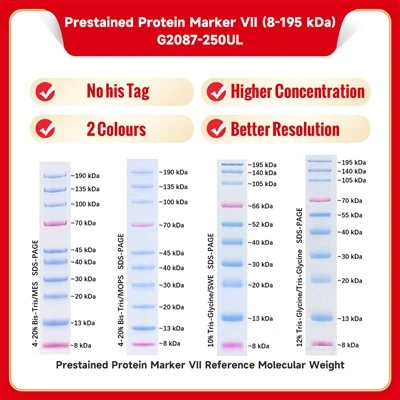 Prestained Protein Marker Ⅶ (8-195 KDa)