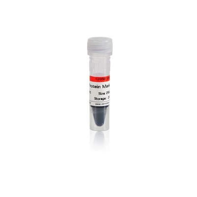 Prestained Protein Marker II (10-200 KDa)