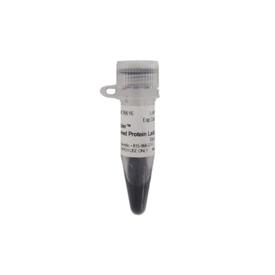 Protein Marker 10-180 KDa