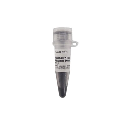 Protein Marker 10-250 KDa