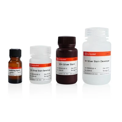 Protein Silver Stain Kit