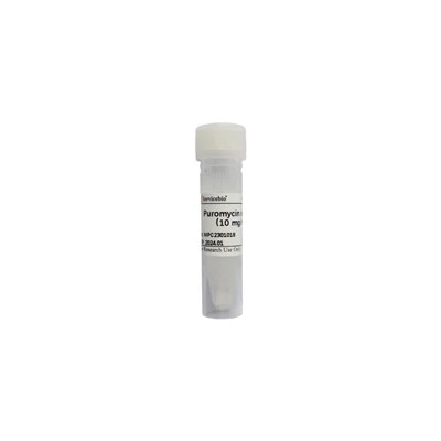 Puromycin Solution (10mg/mL)