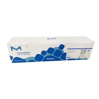 PVDF Membrane (0.2μm)
