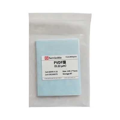 PVDF Membrane (0.22μm)