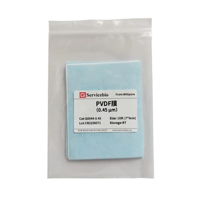 PVDF Membrane（0.45μm）
