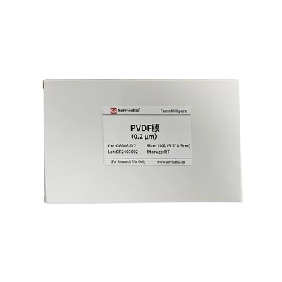 PVDF Transfer Membranes（0.2μm, 5.5×8.5cm）