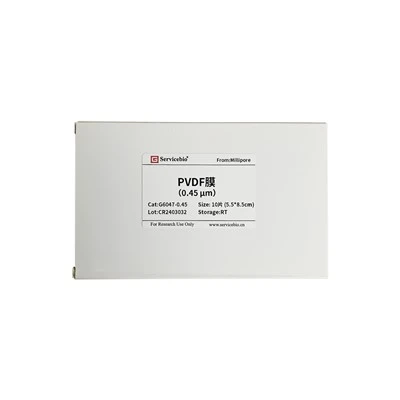 PVDF Transfer Membranes（0.45μm, 5.5×8.5cm）