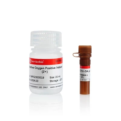 Reactive Oxygen Species (ROS) Assay Kit