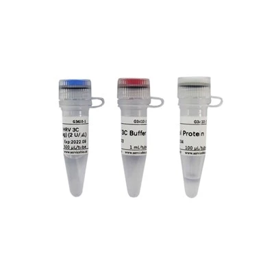 Recombinant HRV 3C Protease (His-tag)