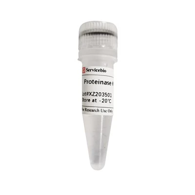 Recombinant Proteinase K（20 Mg/mL）