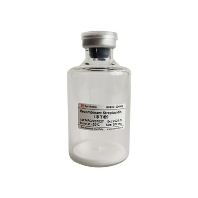 Recombinant Streptavidin (Freeze-Dried Powder)