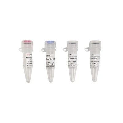 Recombinant SUMO Protease (Ulp1, His-tag)