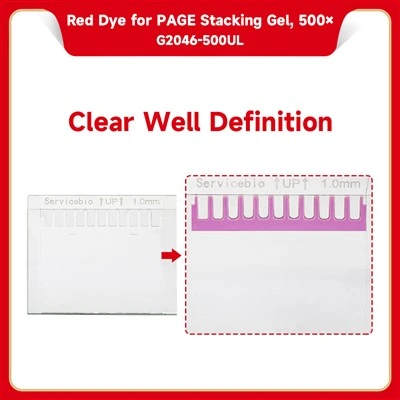 Red Dye For PAGE Stacking Gel, 500×