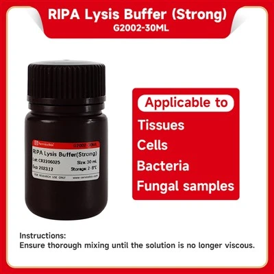 RIPA Lysis Buffer (Strong)