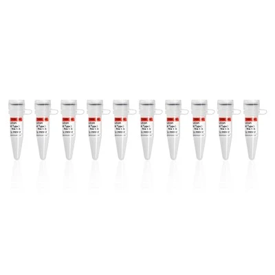 RNA Lysis Solution (RNase Inactivated Type)