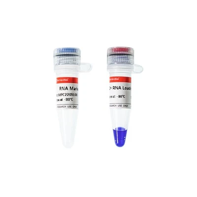 RNA Marker 1000