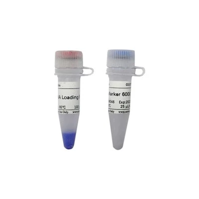 RNA Marker 6000