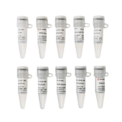 RNA Storage Solution