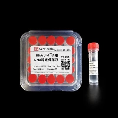 RNAsolid RNA Stabilization Solution For Tissue
