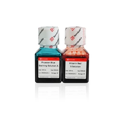 Safranin O-Fast Green Staining Reagent For Bone Tissue
