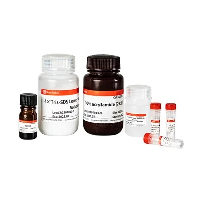 SDS-PAGE Fast Acrylamide Kit