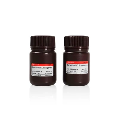 Sensitive ECL Chemiluminescent Kit (Picogram)