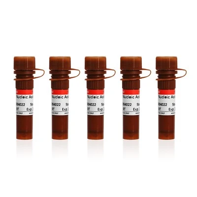 SerRed Nucleic Acid Dye (10000×, Water Soluble)