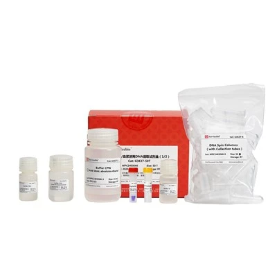 Serum/Plasma Free DNA Extraction Kit